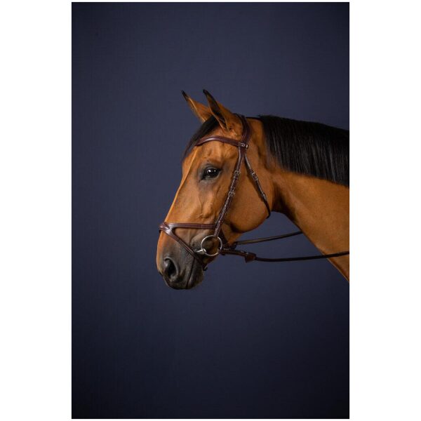 Dyon X-Fit Bridle New English Collection - Bilde 3