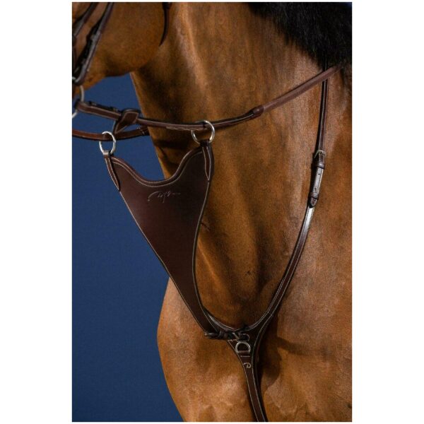 Dyon Hard BIB Martingale Attachment US Collection - Bilde 2