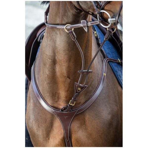 Dyon Elastic Running Martingale Attachment D Collection - Bilde 4