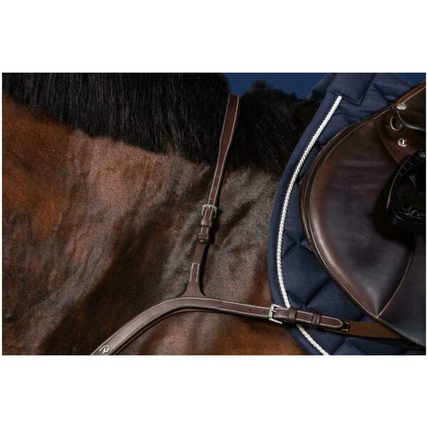 Dyon Long Bridge Breastplate US Collection - Bilde 3