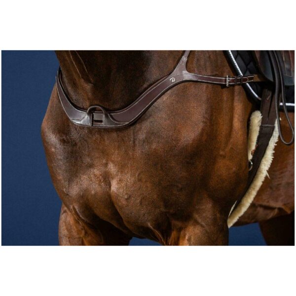 Dyon Anatomical Breastplate US Collection - Bilde 2