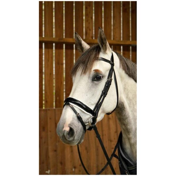 Dyon Patent Large Crank Noseband Bridle With White Padding And Flash Working By Dyon - Bilde 4