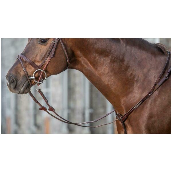 Dyon 16mm Hunter Reins With 7 Leather Loops New English Collection - Bilde 4