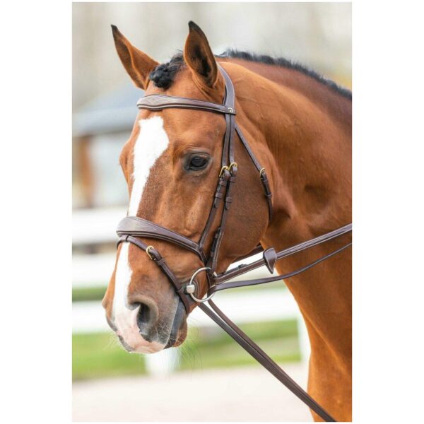 Dyon Full Leather Draw Reins 13mm D Collection - Bilde 2