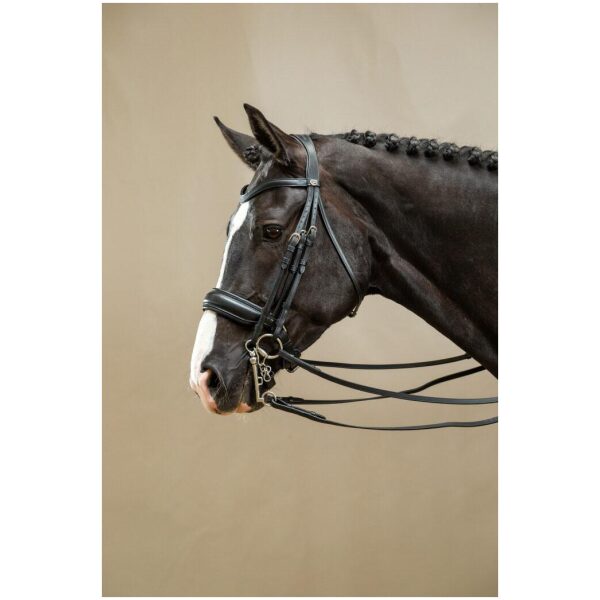 Dyon Matte Large Crank Noseband Double Bridle Working By Dyon - Bilde 2