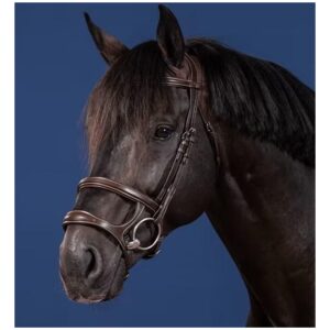 Dyon Double Noseband Bridle US Collection