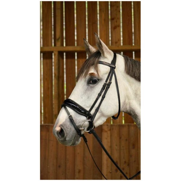 Dyon Patent Large Crank Noseband Bridle With Flash Working By Dyon - Bilde 3