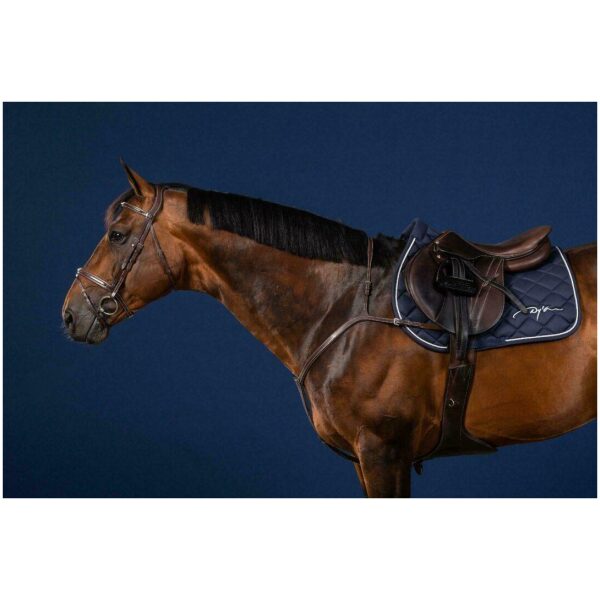 Dyon Long Bridge Breastplate US Collection - Bilde 2