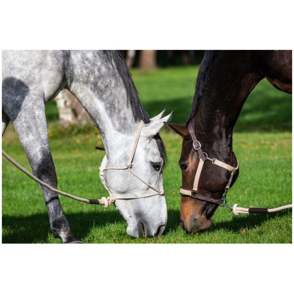 Dyon Traveling Head Collar La Cense - Bilde 6