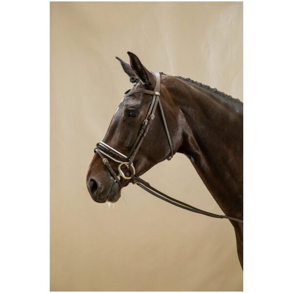 Dyon Patent Large Crank Noseband Bridle With White Padding And Flash Working By Dyon - Bilde 5