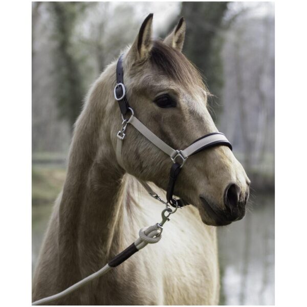 Dyon Traveling Head Collar La Cense - Bilde 2