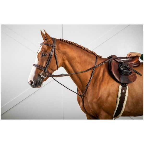 Dyon Standing Martingale US Collection - Bilde 4