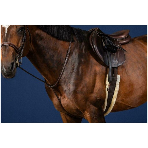 Dyon Standing Martingale US Collection - Bilde 3