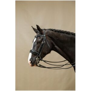 Dyon Patent Large Crank Noseband Double Bridle Working By Dyon