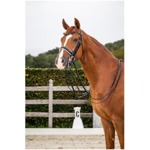 Dyon Patent Large Crank Noseband With White Padding Double Bridle New English Collection XX DC