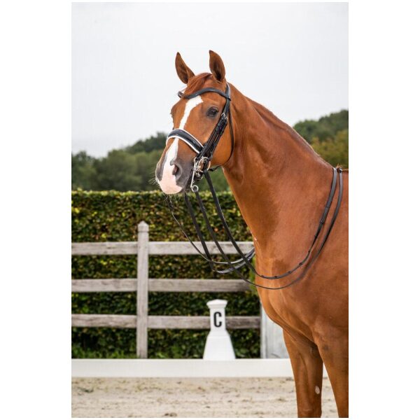 Dyon Patent Large Crank Noseband With White Padding Double Bridle New English Collection XX DC - Bilde 2