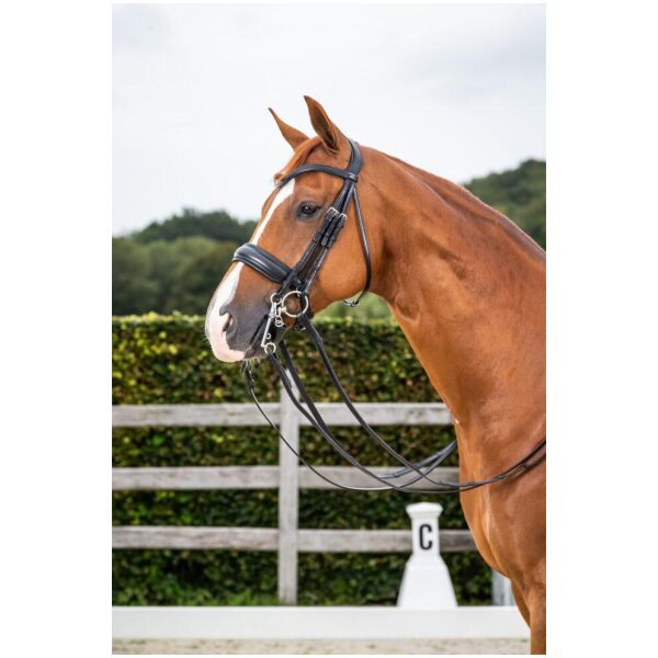 Dyon Matte Large Crank Noseband Double Bridle New English Collection - Bilde 2