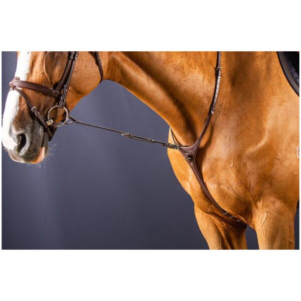 Dyon Standing Martingale Attachment New English Collection - Bilde 3