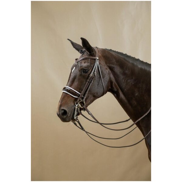 Dyon Patent Large Crank Noseband With White Padding Double Bridle Working By Dyon - Bilde 3