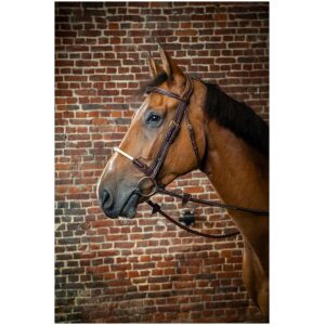 Dyon Rope Noseband Bridle D Collection