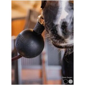 Kentucky Lead & Wall Protection Rubber Ball