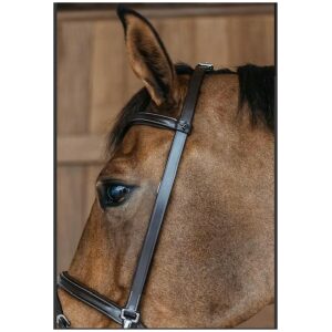 Dyon Training Bridle Working By Dyon