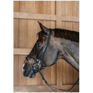 Dyon Plaited Training Bridle