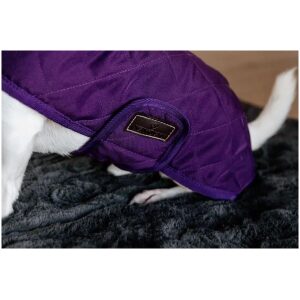 KENTUCKY DOGWARE DOG COAT ROYAL PURPLE 160G