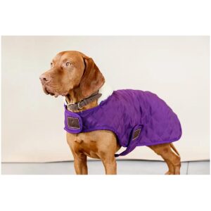 KENTUCKY DOGWARE DOG COAT ROYAL PURPLE 160G