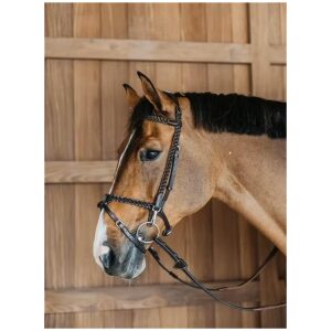 Dyon Plaited Training Bridle