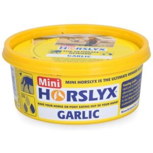 HORSLYV GARLIC 650G