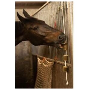 Lax Lucerne on rope for horses 2pk