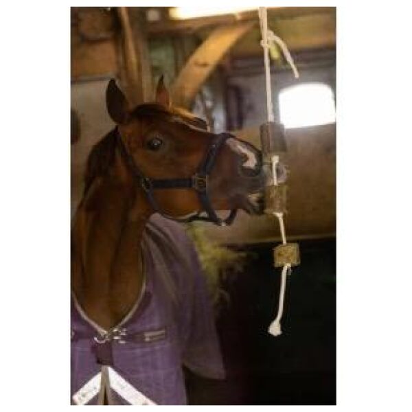 Lax Lucerne on rope for horses 2pk - Bilde 4