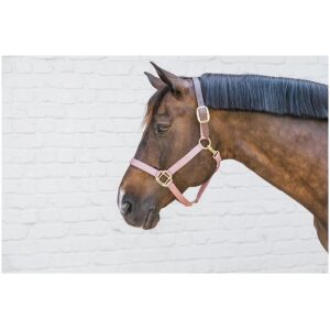 Kentucky Nylon Halter Breakaway