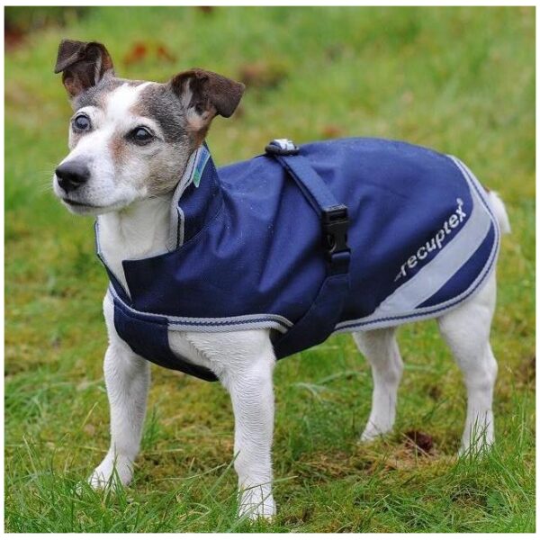 BUCAS RECUPTEX THERAPY DOG RUG 300G