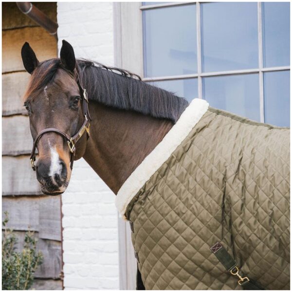 Kentucky Show Rug 160gr Khaki Green - Bilde 3