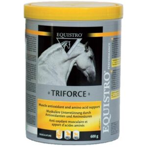 EQUISTRO TRIFORCE 1800 GR.