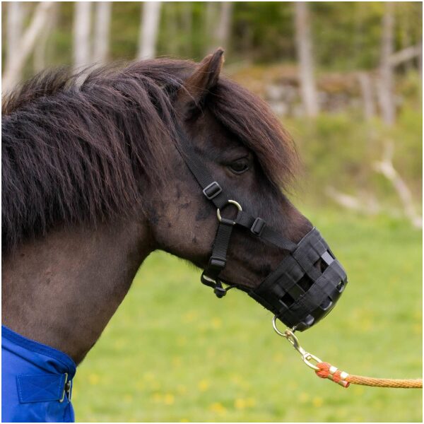 MUNNKURV MOT GRESSING - Bilde 3