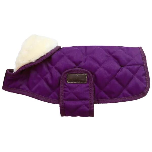 KENTUCKY DOGWARE DOG COAT ROYAL PURPLE 160G - Bilde 5