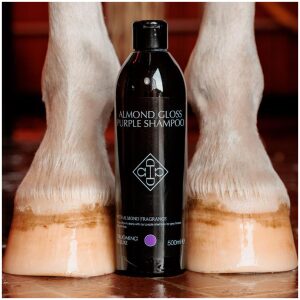 Grooming Deluxe Almond Gloss Purple Shampoo