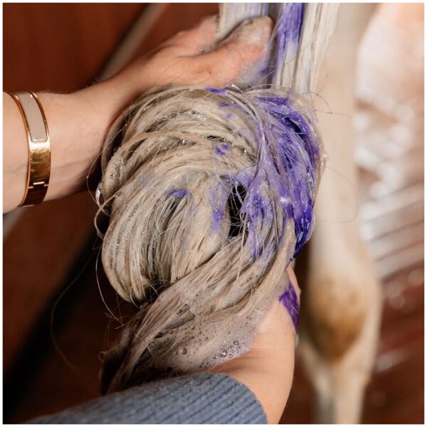 Grooming Deluxe Almond Gloss Purple Shampoo - Bilde 4