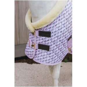 Kentucky Show Rug Sammy