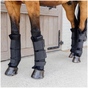 Kentucky Stable boots PROtect Classic Hind