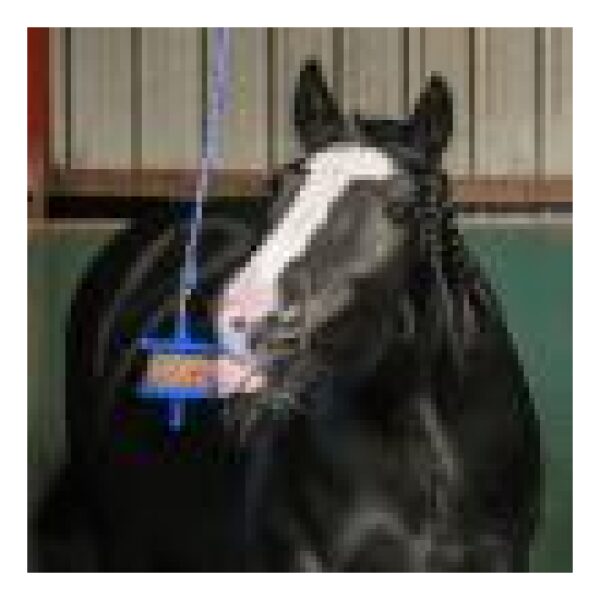 Likit Refill GranoLo - Bilde 3
