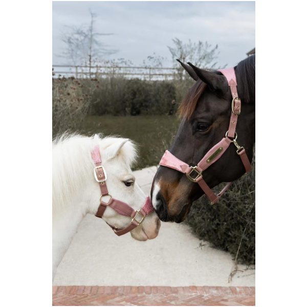 Kentucky Velvet Halter Unicorn Glitter - Bilde 3