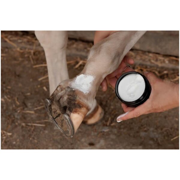 Grooming Deluxe Mud Fever Cream Plus - Bilde 3