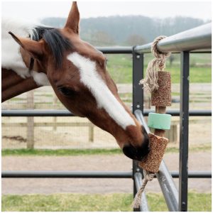 Grooming Delux Wooden Relax Horse Toy with Salt lick Airways