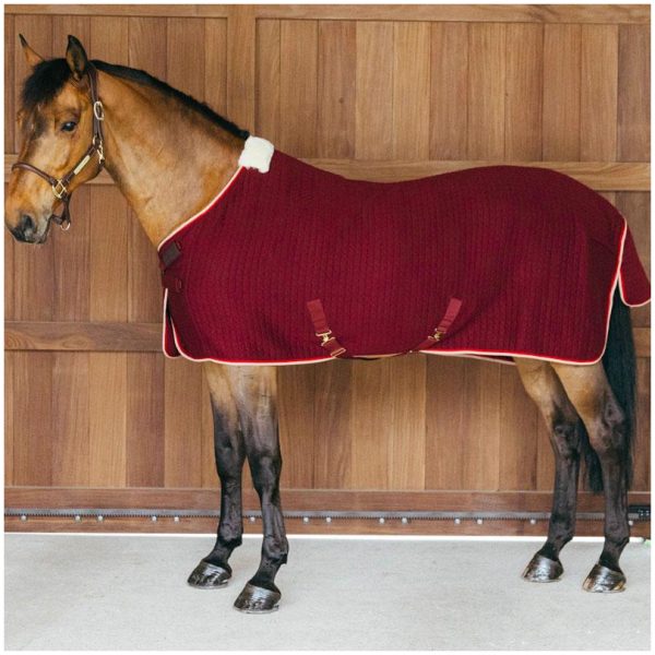 Kentucky Cooler Rug ProTherm - Bilde 6