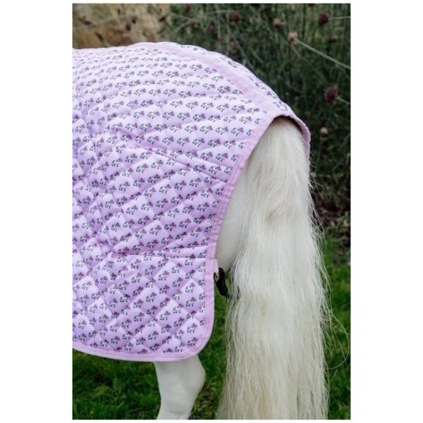 Kentucky Show Rug Sammy - Bilde 3