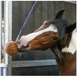 Likit Stall Balls GranoLo -1.6kg- Apple